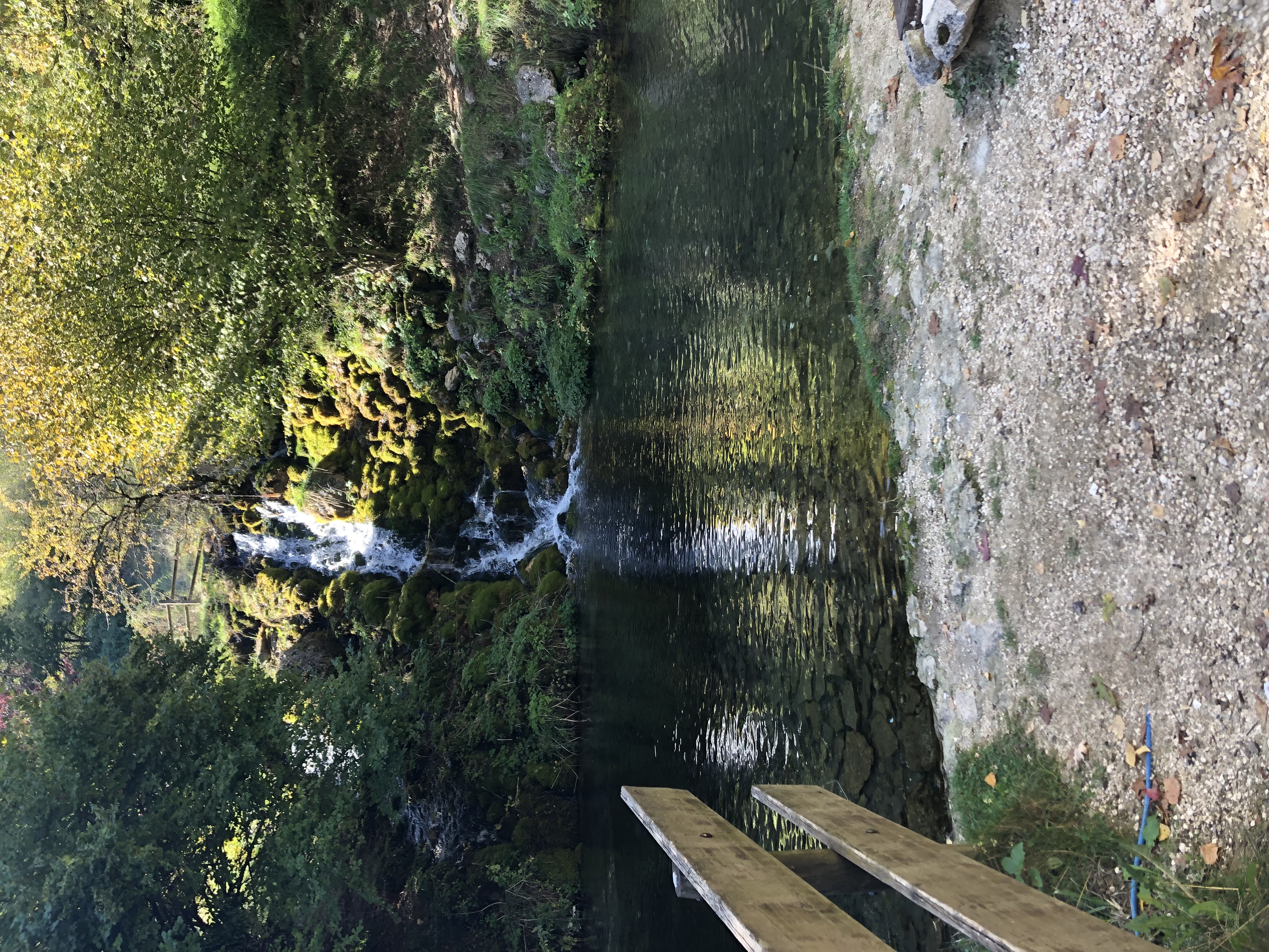 Parco: La Sponga